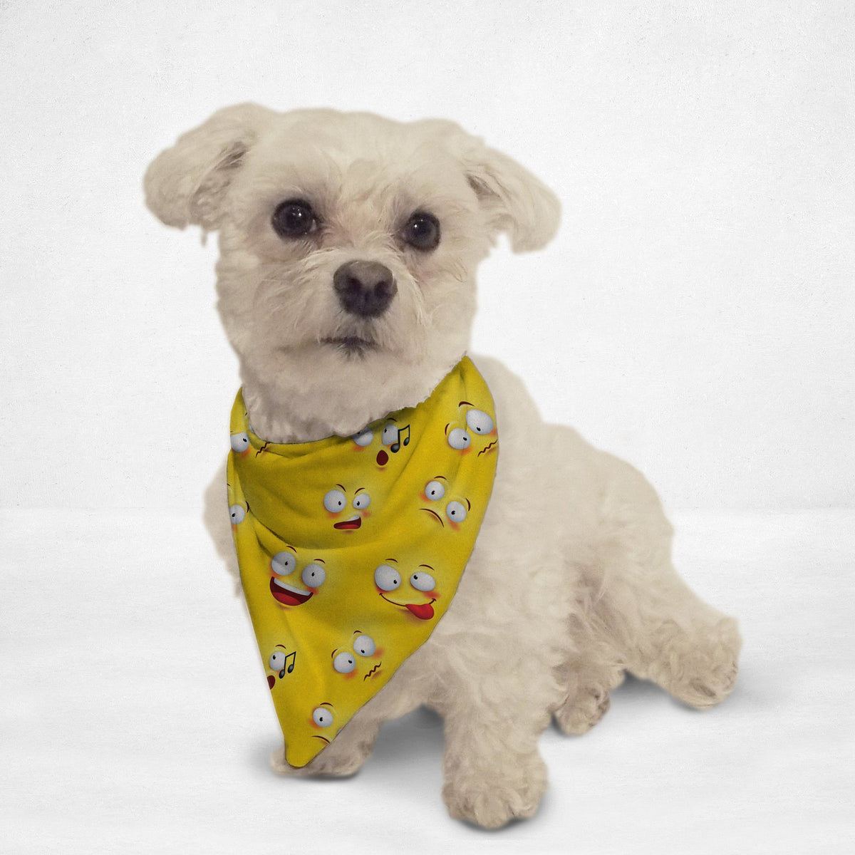 Dog Bandana Smiley Face  Puppy Accessories Yellow : Moose With Me® – Woolf  With Me®