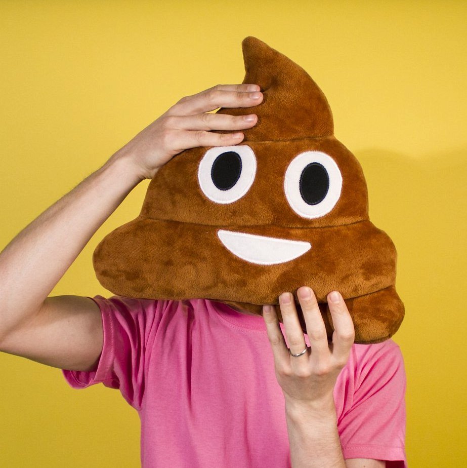 Poop emoji pillow best sale